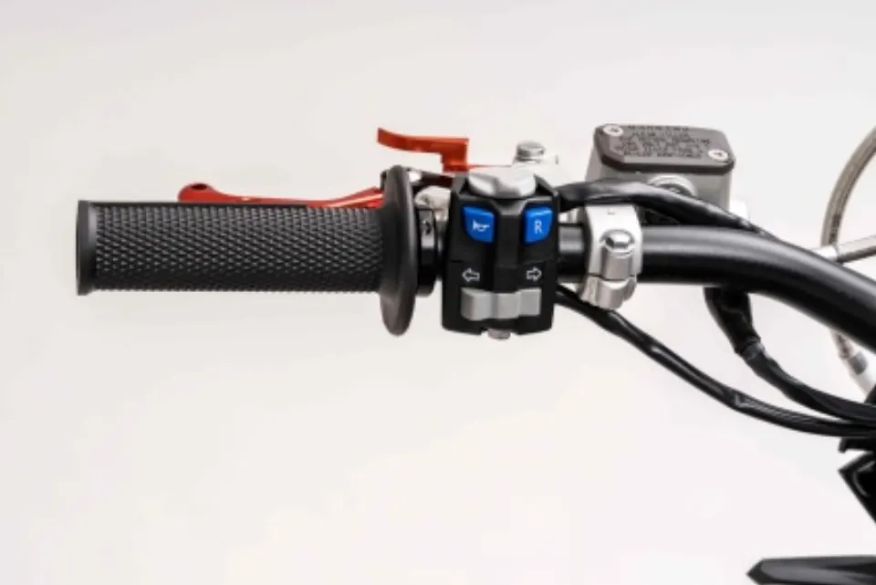 F29 Rear Brake & Left Brake Lever Assembly component