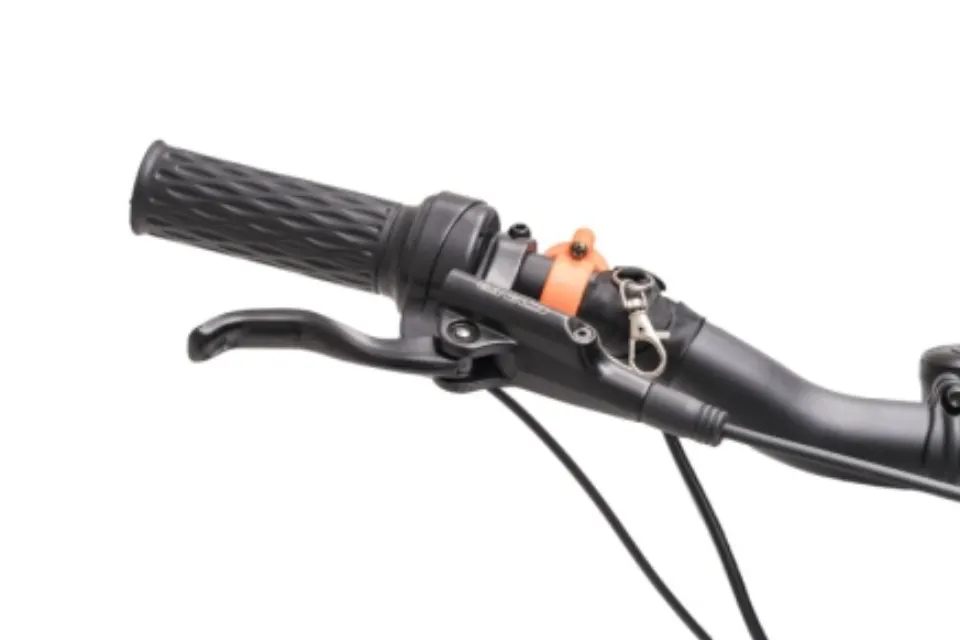 F4 Power Cut-Off Switch & Front Brake component