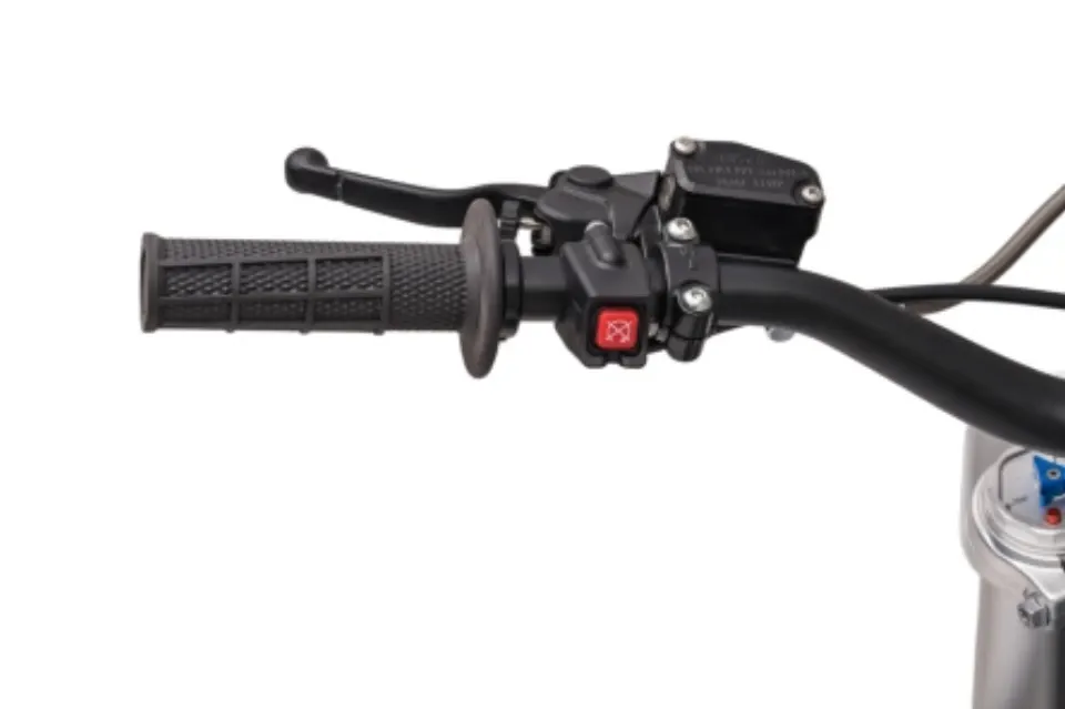 HS85 Rear Brake & Left Brake Lever component